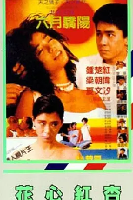刘海瑞小说